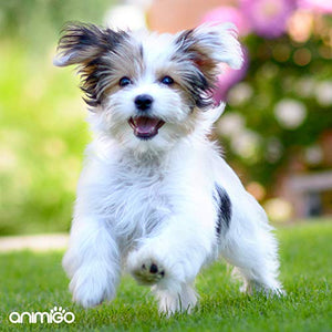 Animigo Spazzola per Cani - Ottima TOELETTATURA - Deshedding Brush - Facile...
