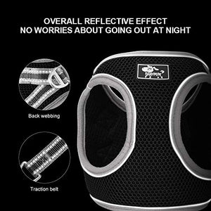 HALOVIE Pettorina per Gatto Cane con Guinzaglio da 1.5M Gilet XL, nero