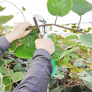 Legatrice per Piante, Attrezzi Orto Pinza Legatrice,Tying Macchina Strumento Nastro a Mano per Legare Pomodori UVA Fiori Verdura Vigneto, Attrezzo a da Giardino
