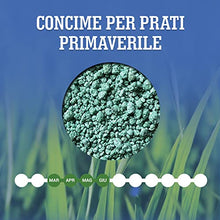 Carica l&#39;immagine nel visualizzatore di Gallery, LERAVA PRIMAVERA concime prato primavera - prato fitto, verde intenso e robusto anziche muschio ed erbacce - Ideale per l&#39;uso di robot rasaerba - 70m²