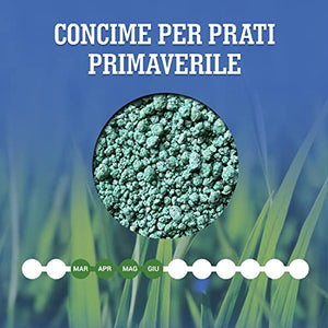 LERAVA PRIMAVERA concime prato primavera - prato fitto, verde intenso e robusto anziche muschio ed erbacce - Ideale per l'uso di robot rasaerba - 70m²