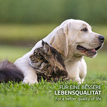 Carica l&#39;immagine nel visualizzatore di Gallery, AniForte Olio di Cocco Biologico per Cani e Gatti 1 litro - Prima spremitura...