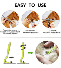 Carica l&#39;immagine nel visualizzatore di Gallery, PROZADALAN [2 PCS] Collare Antipulci Cane, Antiparassitario per Cani per...