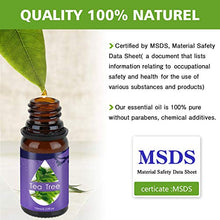 Carica l&#39;immagine nel visualizzatore di Gallery, Oli Essenziali per Diffusori,Aromaterapia Puri 100%,Naturali... - Ilgrandebazar