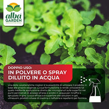 Carica l&#39;immagine nel visualizzatore di Gallery, Albagarden - Albakill Esca Anti Formiche Orto e Giardino - Insetticida Micro Granulare Per Ambienti Esterni - Scarafaggi Blatte Grillotalpa Insetti Pulci Zecche - Solubile Spray Antiformiche x 1 Kg
