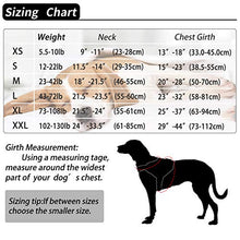 Carica l&#39;immagine nel visualizzatore di Gallery, Imbracatura per Cani Traspirante Senza M: collo 16,5 &quot;-21&quot; (42-53 cm), Rosa