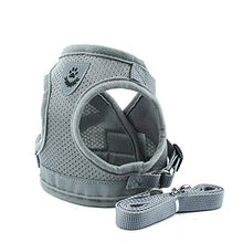 Carica l'immagine nel visualizzatore di Gallery, BVAGSS 2PCS Tessuto di Maglia del Imbottito Imbracatura XS, 041 Grey