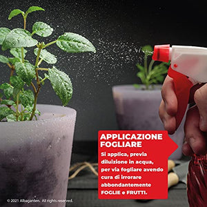 Albagarden - Calcio Per Pomodori Liquido Concime Orto Nitrato Di Calcio Fertilizzante Piante Cura Del Marciume Apicale Nero Alta Concentrazione Ricco In Magnesio Azoto Potassio Calcio Liquido x 1 Kg