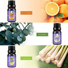 Carica l&#39;immagine nel visualizzatore di Gallery, Oli Essenziali per Diffusori,Aromaterapia Puri 100%,Naturali... - Ilgrandebazar