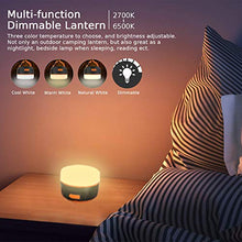 Carica l'immagine nel visualizzatore di Gallery, Lanterna da campeggio, lanktoo luci per tende ricaricabili Nero + Arancione