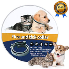 Carica l&#39;immagine nel visualizzatore di Gallery, NINGBO CHANSON Collare Antipulci per Cane e Gatto, 60cm Collare... - Ilgrandebazar