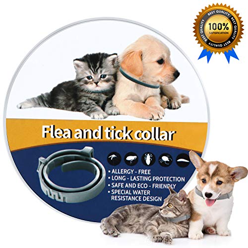 NINGBO CHANSON Collare Antipulci per Cane e Gatto, 60cm Collare... - Ilgrandebazar