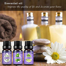Carica l&#39;immagine nel visualizzatore di Gallery, Oli Essenziali per Diffusori,Aromaterapia Puri 100%,Naturali... - Ilgrandebazar