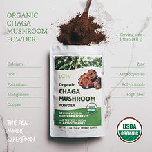 Carica l&#39;immagine nel visualizzatore di Gallery, Polvere Biologica di Fungo Chaga, Raccolto Allo Stato Selvatico Nelle...