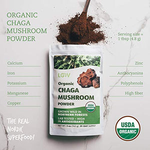 Polvere Biologica di Fungo Chaga, Raccolto Allo Stato Selvatico Nelle...