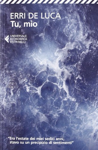 Tu Mio (Italiano) Copertina flessibile – 27 dicembre 2012
