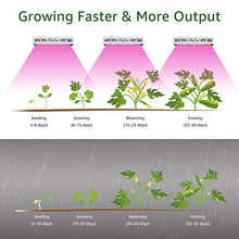 Carica l&#39;immagine nel visualizzatore di Gallery, Olafus 300W Grow Light Lampada per Piante VEG&amp;Bloom 3 Modalità Spettro... - Ilgrandebazar