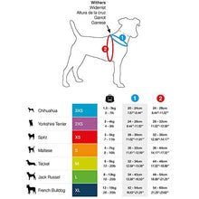 Carica l&#39;immagine nel visualizzatore di Gallery, Curli Mylittledog SE19 - Stoviglie Vest Air-Mesh Linen Olive Special 3XS