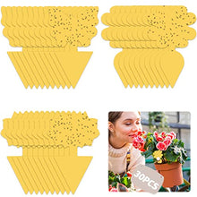 Carica l'immagine nel visualizzatore di Gallery, 30 PCS Trappola per Mosche Acchiappamosche Adesivo Plant Flycatcher Trappola per Mosche della Frutta Trappola per Insetti per Moscerini, Afidi, Mosche Minatori e Mosche Bianche (30 PCS)