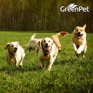 GreenPet liquido per sverminazione al 100 % naturale 50 ml, ideale cani,...