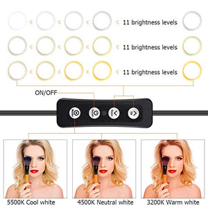 ICETEK - Luce ad anello con treppiede, 10 pollici, 3 colori di luce e 11...
