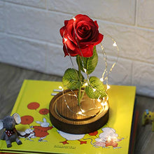 Carica l'immagine nel visualizzatore di Gallery, Anaoo Rose La Bella e la Bestia in Cupola Vetro Regalo per Senza Telecomando - Ilgrandebazar