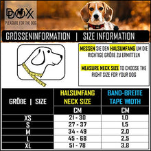 Carica l'immagine nel visualizzatore di Gallery, DDOXX Collare Cane Nylon, Regolabile | Tanti XS - 1,0 x 21-30 cm, Arancione
