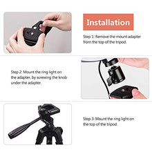 Carica l&#39;immagine nel visualizzatore di Gallery, Andoer Luce ad Anello LED da 10 Pollici con Treppiede Supporto per Telefono...