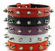 Carica l&#39;immagine nel visualizzatore di Gallery, Namsan cani Puppy Doggie gatti Pet collari di M 13--15&quot;(33--38 cm), Black