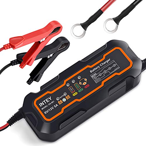 INTEY Batteria per auto, dispositivo ricaricare batteria, caricatore per... - Ilgrandebazar