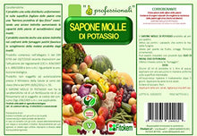 Carica l'immagine nel visualizzatore di Gallery, Fitokem Sapone Molle di potassio Biologico per orto e Frutta corroborante Lava Melata 1 Litro