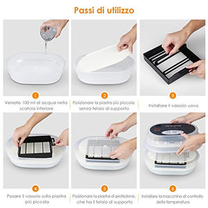 Amzdeal Incubatrice Automatica per 9/12 Uova Controllo Automatico di... - Ilgrandebazar
