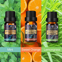 Carica l&#39;immagine nel visualizzatore di Gallery, Oli Essenziali per Diffusori Top 6 Set - Aromaterapia Olio Essenziale... - Ilgrandebazar