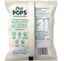 Carica l'immagine nel visualizzatore di Gallery, Plant Pops 100% Vegan, Gluten Free and Low Calorie, Himalayan (24 Pack x 20g)