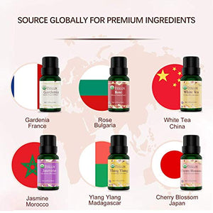 Oli Essenziali Aromaterapia ESSLUX Fiori Per Diffusori Olio... - Ilgrandebazar