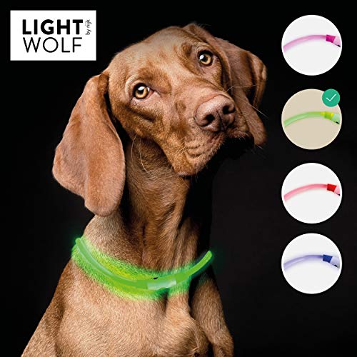Riijk, collare luminoso a LED per cani e gatti, resistente alla pioggia Verde