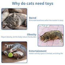 Carica l&#39;immagine nel visualizzatore di Gallery, BaiYi ocattoli per Gatti,21Pezzi Giocattoli Interattivi Giochi Gatto Giochi...