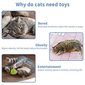 BaiYi ocattoli per Gatti,21Pezzi Giocattoli Interattivi Giochi Gatto Giochi...