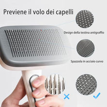 Carica l'immagine nel visualizzatore di Gallery, 2