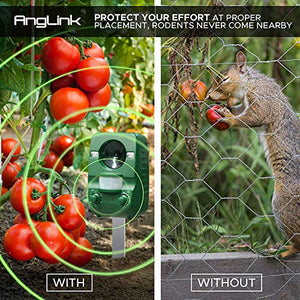 AngLink Repellente per Gatti ad Ultrasuoni dissuasore a 2020 A008 - Ilgrandebazar