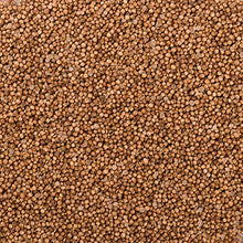 Carica l&#39;immagine nel visualizzatore di Gallery, Semi di coriandolo (250g), intero, 100% naturale, semi 250 GR
