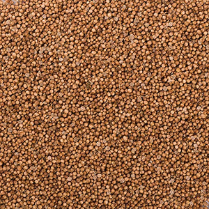 Semi di coriandolo (250g), intero, 100% naturale, semi 250 GR