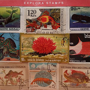 worldwide Fish, Sea Life e animali marini francobolli Collection – 100...