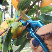 Carica l&#39;immagine nel visualizzatore di Gallery, Cesoie Potatura Professionali Novità 2019 Taglia Unica, Blu Anodizzato - Ilgrandebazar