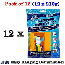 Carica l&#39;immagine nel visualizzatore di Gallery, Deumidificatore per armadio da interno appendere-12 Pack - Ilgrandebazar