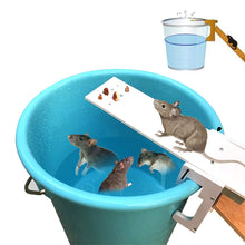 Carica l&#39;immagine nel visualizzatore di Gallery, Pawaca - Trappola per topi a forma di asse, con riposizionamento automatico,... - Ilgrandebazar