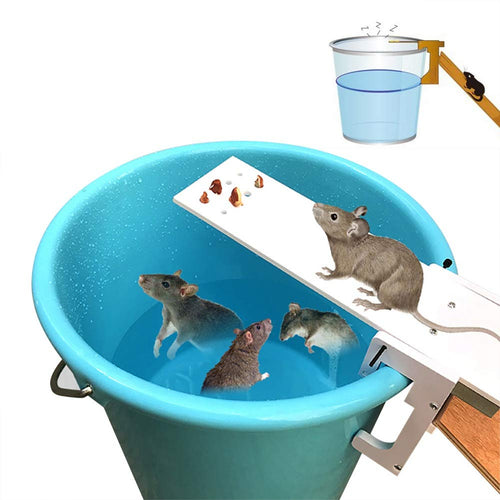 Pawaca - Trappola per topi a forma di asse, con riposizionamento automatico,... - Ilgrandebazar