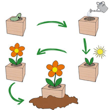 Carica l&#39;immagine nel visualizzatore di Gallery, Feel Green Ecocube Girasole, Certificato Biologico, Idea Regalo sostenibile... - Ilgrandebazar
