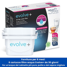 Carica l'immagine nel visualizzatore di Gallery, Aqua Optima Cartuccia filtro acqua EPS612 Evolve plus per 30 giorni, confezione da 6 (fornitura per 6 mesi), vecchia versione