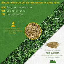 Carica l&#39;immagine nel visualizzatore di Gallery, AGRI-CULTURA Diamante - Semi prato 1 Kg - Semi erba prato resistenti alla siccità ,adatti a tutti i terreni e luoghi [Ideale per tappeti erbosi sportivi ed ornamentali]